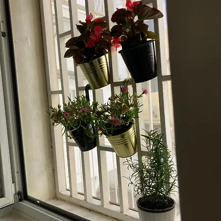 Apartmán House Bari